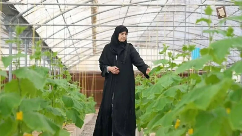 «فاو» تختار الإماراتية خديجة القبيسي ضمن أفضل 100 مزارعة عالمياً