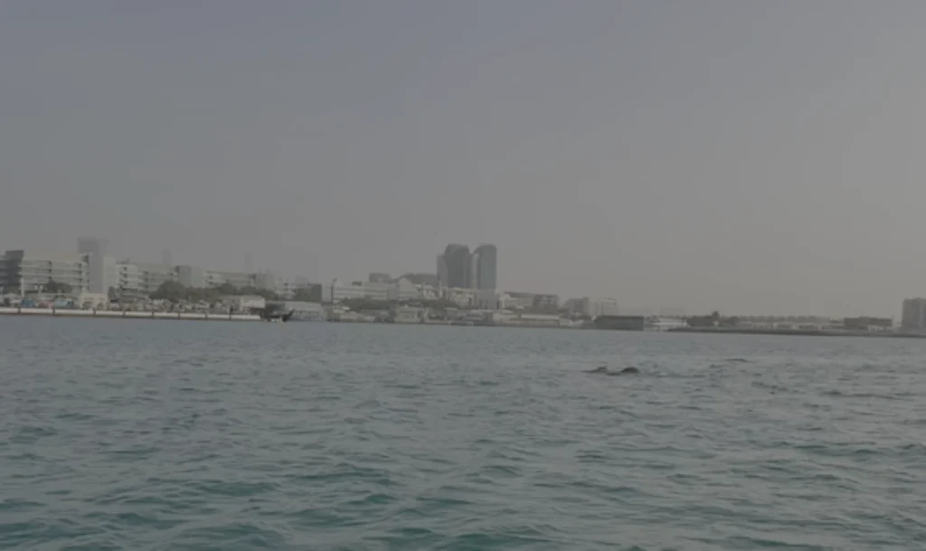 دراسة لـ«السوربون أبوظبي» عن الحمض النووي البيئي في النظم الساحلية