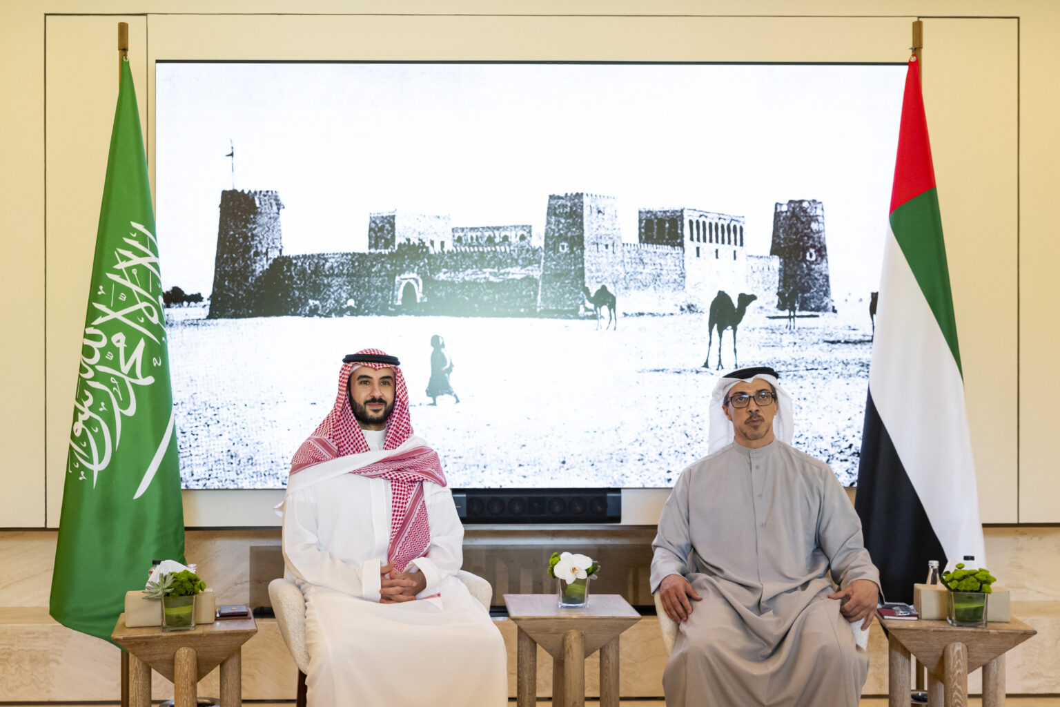 Mansour bin Zayed meets Khalid bin Salman