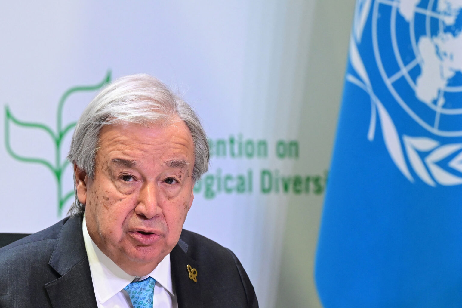 Guterres calls for urgent global action to protect biodiversity